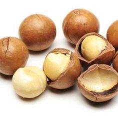 Macadamia - Kakuzi Estates